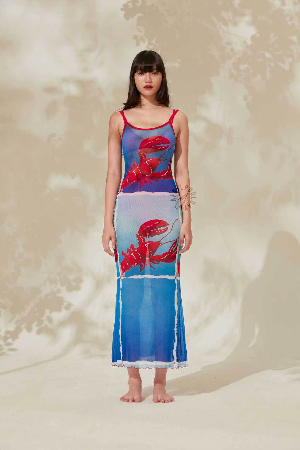 Lobster Net Slip Dress CECloset Lobster Net Slip Dress CECloset